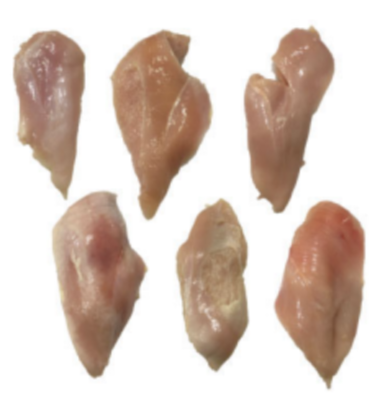 CLEARANCE: 40lbs Frozen Organic Chicken Breasts